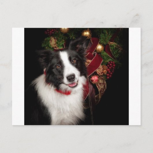 Border Collie Christmas Feiertagspostkarte (Vorderseite)