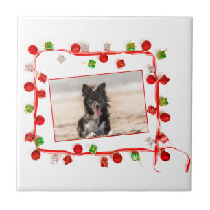 Border Collie Christmas Fliese