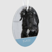 Border Collie Christmas Personalisiert Pet Foto Ornament (Vorderseite)
