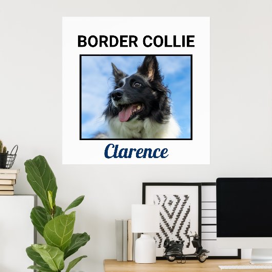 Border Collie Custom Doster Poster (Heimbüro)