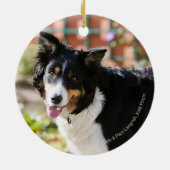 Border-Collie, die 1 keucht Keramik Ornament (Hinten)