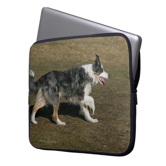 Border-Collie, die 1 laufen lässt Laptopschutzhülle (Vorderseite Links)