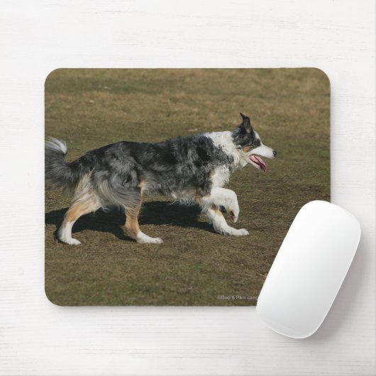 Border-Collie, die 1 laufen lässt Mousepad (Mit Mouse)