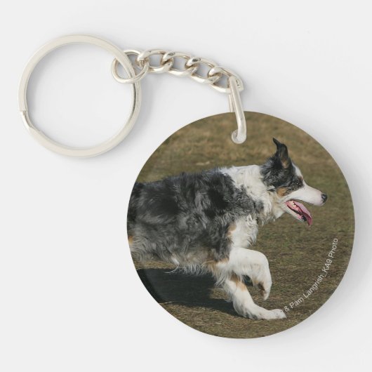 Border-Collie, die 1 laufen lässt Schlüsselanhänger (Vorderseite)