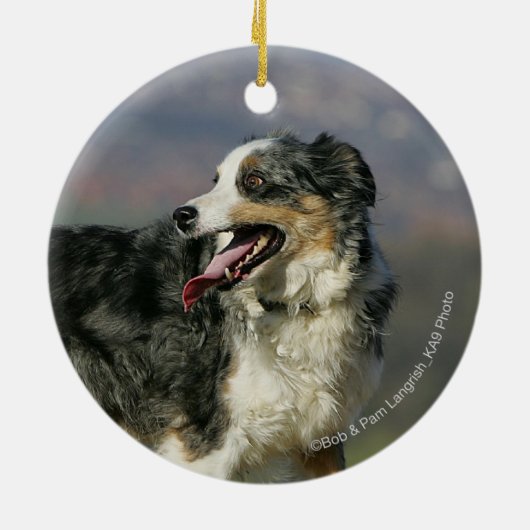 Border-Collie, die 2 keucht Keramik Ornament (Hinten)
