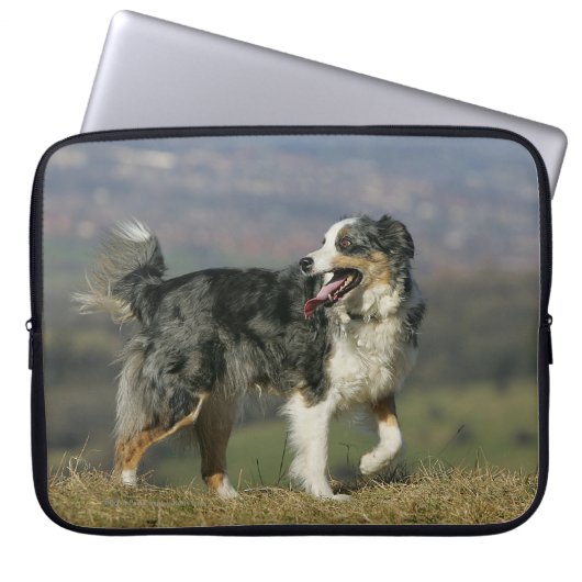 Border-Collie, die 2 keucht Laptopschutzhülle (Vorderseite)