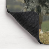 Border-Collie, die 2 keucht Mousepad (Ecke)