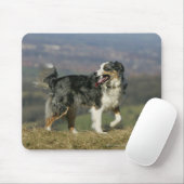 Border-Collie, die 2 keucht Mousepad (Mit Mouse)