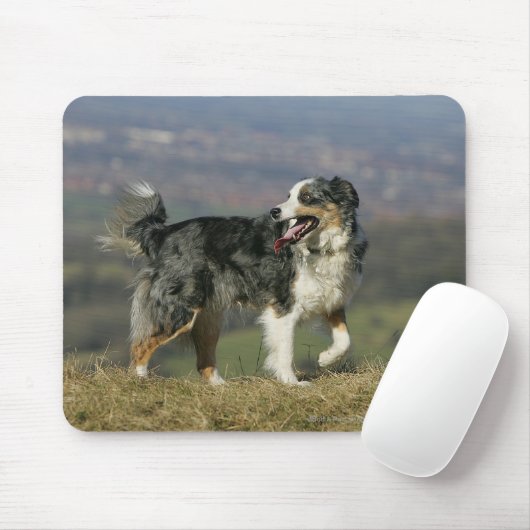 Border-Collie, die 2 keucht Mousepad (Mit Mouse)