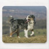 Border-Collie, die 2 keucht Mousepad (Vorne)