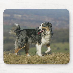 Border-Collie, die 2 keucht Mousepad
