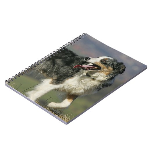 Border-Collie, die 2 keucht Notizblock (Linke Seite)