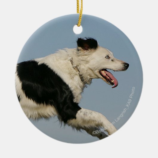 Border-Collie, die 2 laufen lässt Keramik Ornament (Vorne)