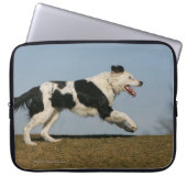 Border-Collie, die 2 laufen lässt Laptopschutzhülle (Vorderseite)