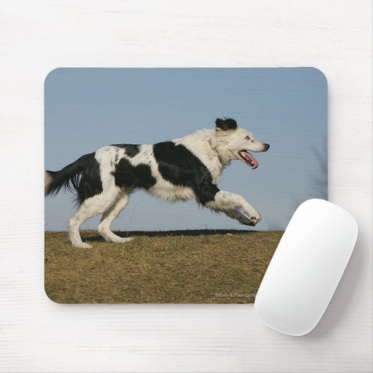 Border-Collie, die 2 laufen lässt Mousepad (Mit Mouse)