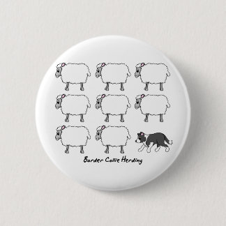 Border-Collie, die Schaf-Knopf in Herden lebt Button