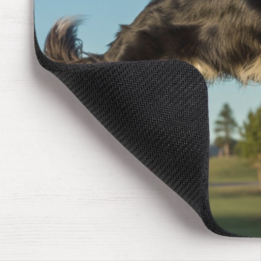 Border Collie Disc Golf Mousepad (Ecke)
