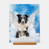 Border Collie Dog Angel mit Name Pet Memorial Acrylschild (Vorderseite)