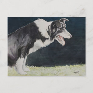 Border Collie Dog Art Postkarte