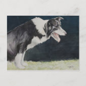 Border Collie Dog Art Postkarte (Vorderseite)