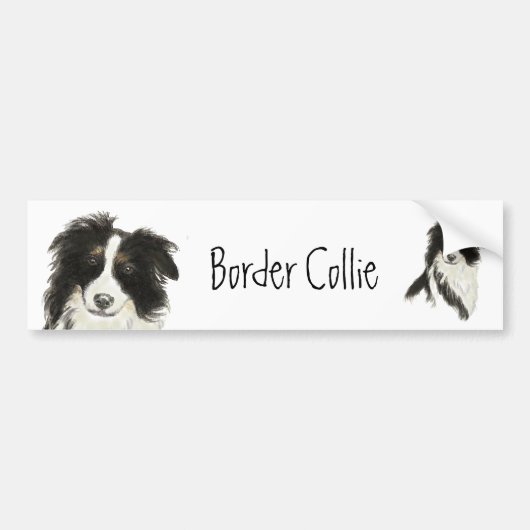 Border Collie Dog Autoaufkleber (Vorne)