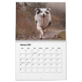 Border Collie Dog Calendar Kalender (Feb 2027)