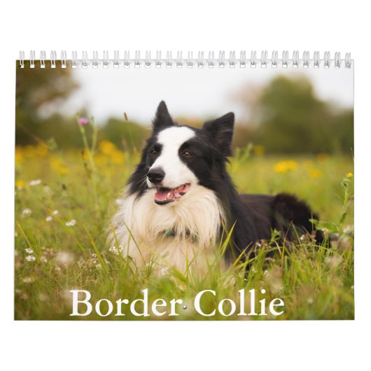 Border Collie Dog Calendar Kalender (Titelbild)