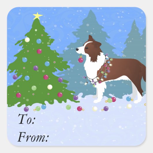 Border Collie Dog dekorieren Weihnachtsbaum Quadratischer Aufkleber (Vorderseite)