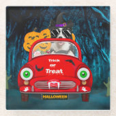 Border Collie Dog Driving Car Beängstigend Hallowe Glasuntersetzer (Vorderseite)