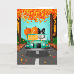 Border Collie Dog Fall Pumpkin Karte