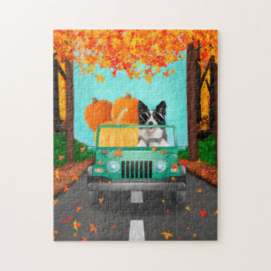 Border Collie Dog Fall Pumpkin Puzzle