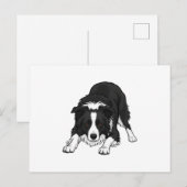 Border Collie Dog Feiertagspostkarte (Vorne/Hinten)
