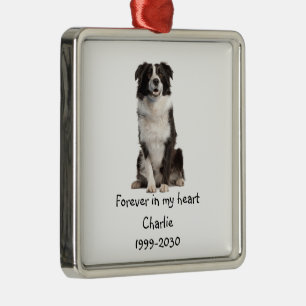 Border Collie Dog Foto Memorial Keepake Ornament Aus Metall