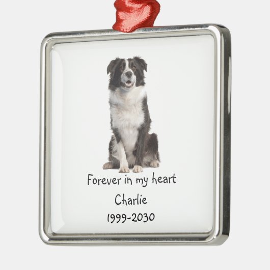 Border Collie Dog Foto Memorial Keepake Ornament Aus Metall (Links)