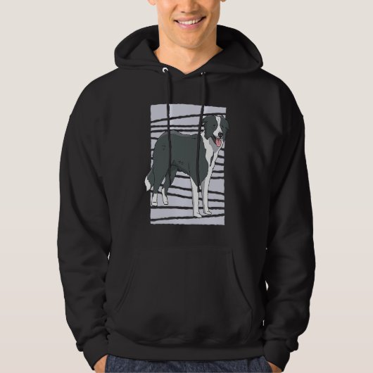 Border Collie dog Hoodie (Vorderseite)