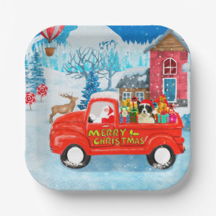 Border Collie Dog in Christmas Delivery LKW Schnee Pappteller