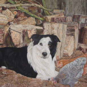 border collie dog in log shed with chickens puzzle