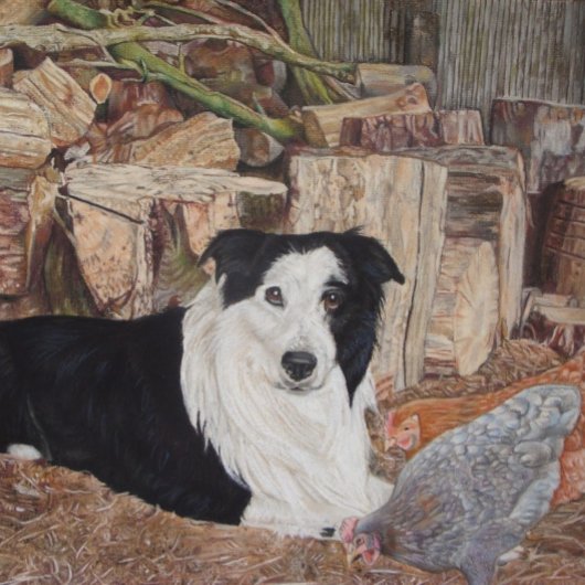 border collie dog in log shed with chickens puzzle