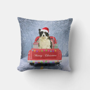 Border Collie Dog in Snow sitzen in Weihnachten Kissen