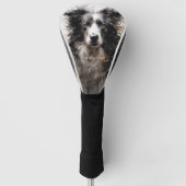 Border Collie dog in the wind 005 - Yacobsen Deros Golf Headcover (Vorderseite)