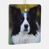 Border Collie Dog Keramikornament (Rechts)