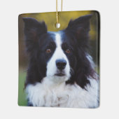 Border Collie Dog Keramikornament (Links)