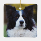 Border Collie Dog Keramikornament (Rückseite)