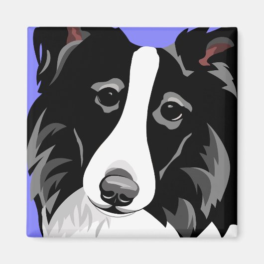 Border Collie Dog Magnet (Vorne)