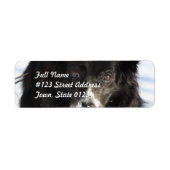 Border Collie Dog Mailing Labels (Vorne)