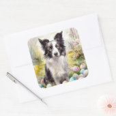 Border Collie Dog mit Ostereier Urlaub Quadratischer Aufkleber (Umschlag)