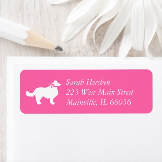 Border Collie Dog Pink (Insitu)