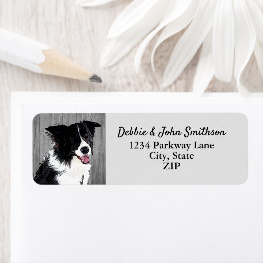 Border Collie Dog Rücksendeadresse Animal Niedlich (Insitu)