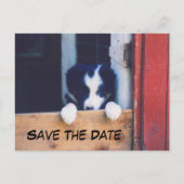 Border Collie Dog Save The Date Ankündigungspostkarte (Vorderseite)