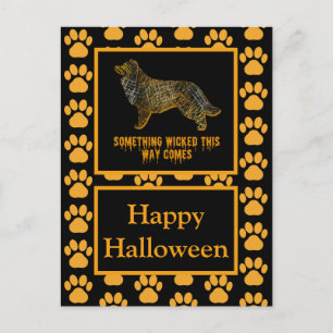 Border Collie Dog Silhouette Halloween Orange Postkarte